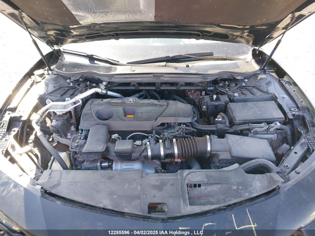 19UUB6F54RA800410 Acura TLX