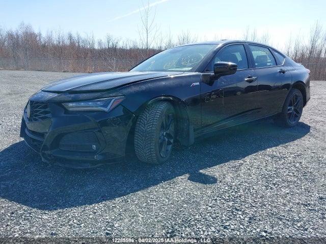 19UUB6F54RA800410 Acura TLX
