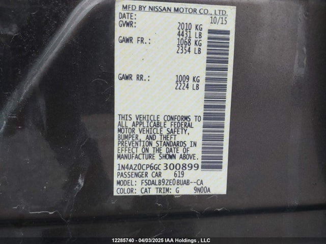 1N4AZ0CP6GC300899 Nissan Leaf