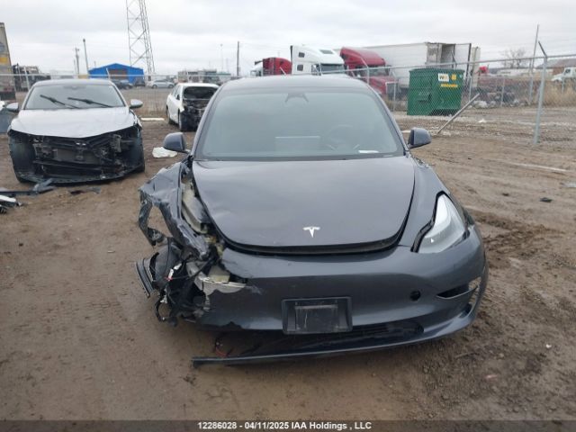 LRW3E1EB9PC924828 Tesla MODEL 3