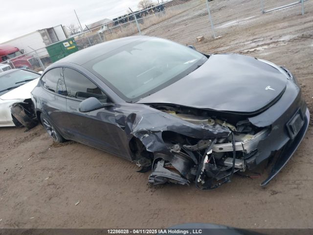 LRW3E1EB9PC924828 Tesla MODEL 3