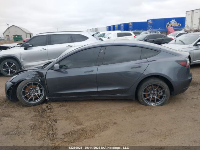 LRW3E1EB9PC924828 Tesla MODEL 3