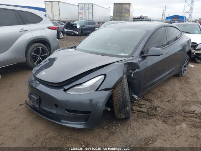 LRW3E1EB9PC924828 Tesla MODEL 3