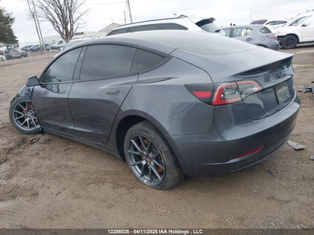 LRW3E1EB9PC924828 Tesla MODEL 3