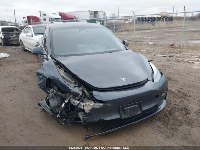 LRW3E1EB9PC924828 Tesla MODEL 3