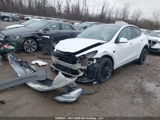 Tesla Model Y 2022 7SAYGDEE1NF330266 Image 2