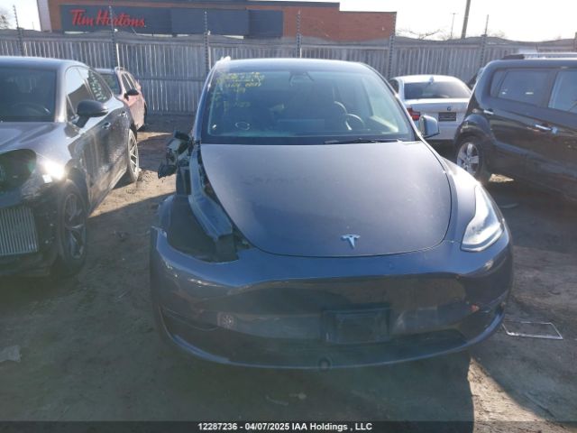 7SAYGDEF6NF464859 Tesla Model Y