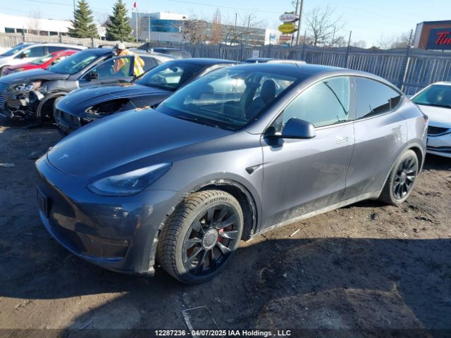 7SAYGDEF6NF464859 Tesla Model Y