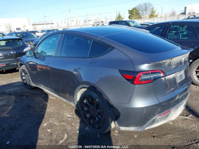 7SAYGDEF6NF464859 Tesla Model Y