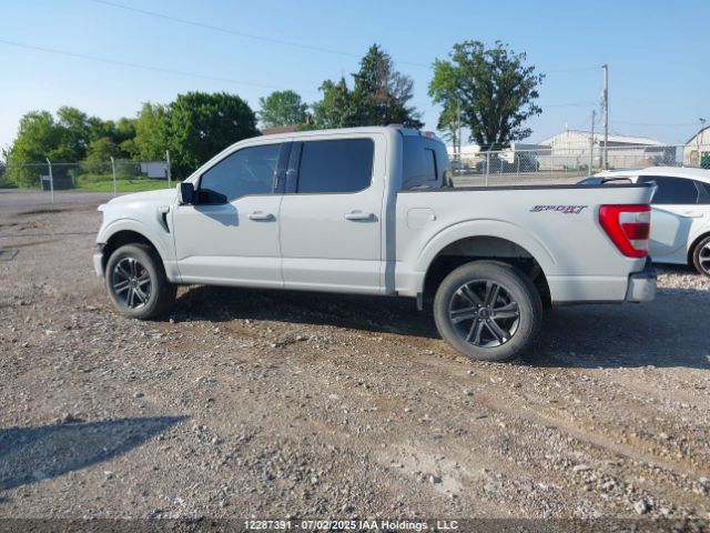 1FTFW1E89PKF02761 Ford gtdi
