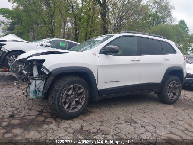 Jeep 2020 2020 1C4PJMBXXLD570310 Image 15