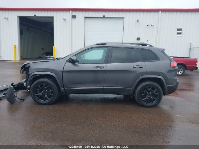 1C4PJMDX0LD565744 Jeep Cherokee