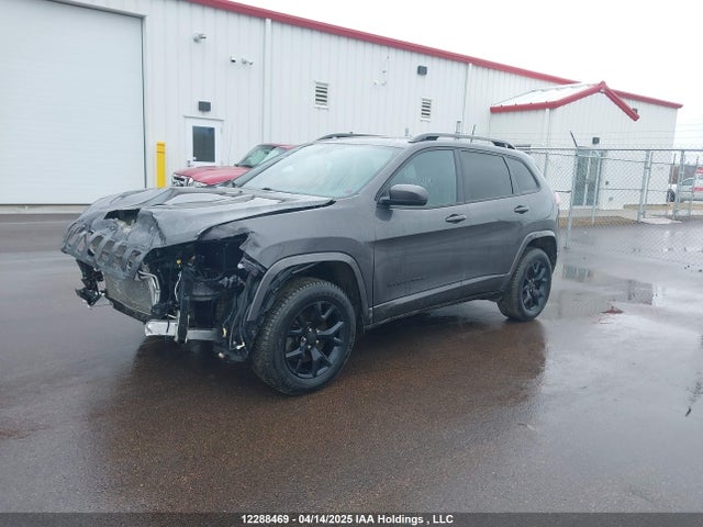 1C4PJMDX0LD565744 Jeep Cherokee