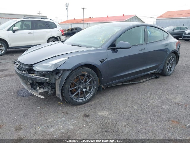 5YJ3E1EA8PF508279 Tesla Model 3 Rwd