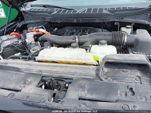 Ford F-150 2024 1FTFW5LD5RFA16547 Image 10