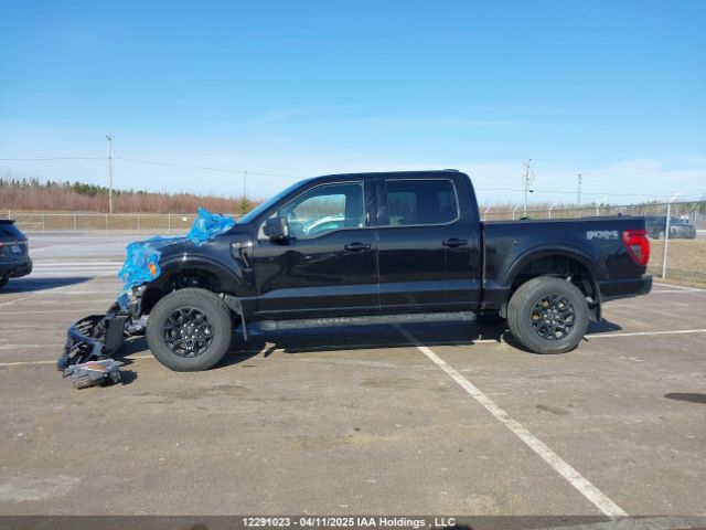 1FTFW3L52RKD99870 Ford F-150 Xlt