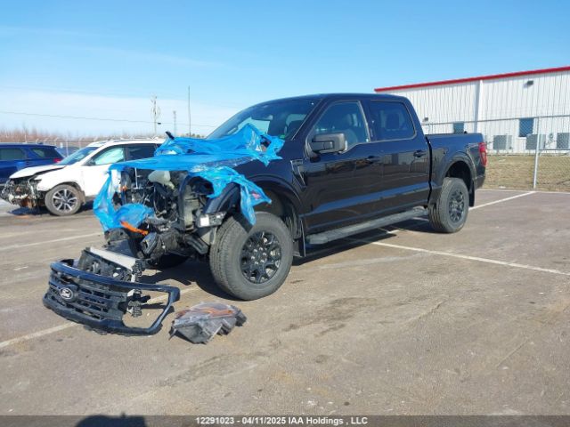 1FTFW3L52RKD99870 Ford F-150 Xlt