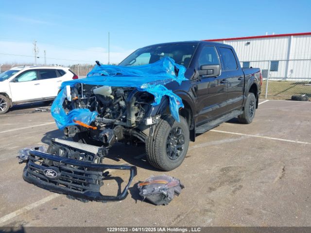 1FTFW3L52RKD99870 Ford F-150 Xlt