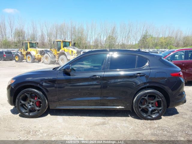 ZASPAKBN4N7D25076 Alfa Romeo Stelvio Ti/ti Sport