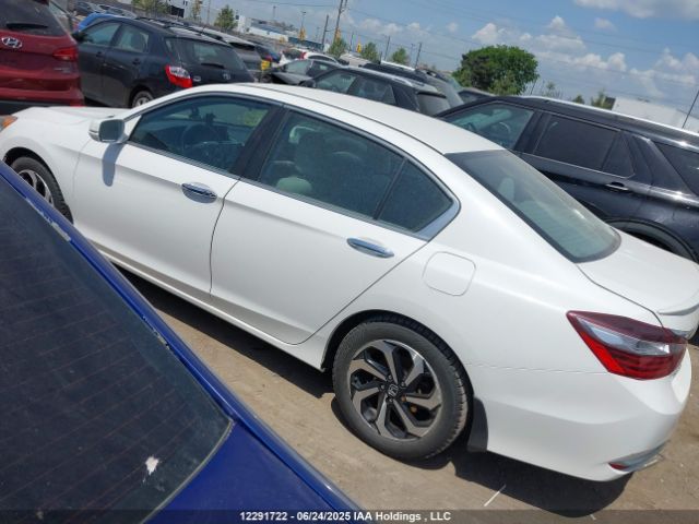 1HGCR2F73HA800009 Honda k24w1
