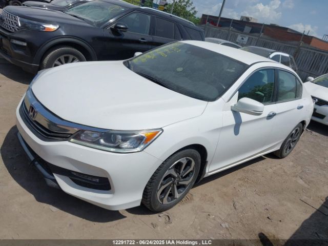 1HGCR2F73HA800009 Honda k24w1