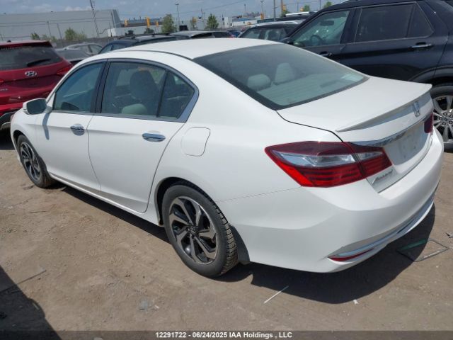 1HGCR2F73HA800009 Honda k24w1
