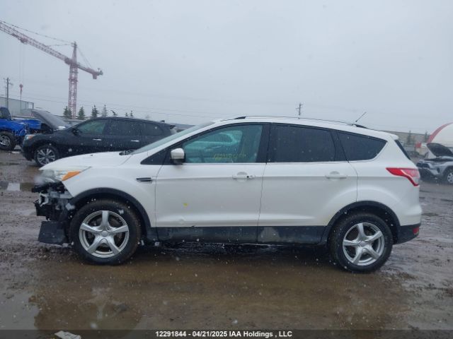 1FMCU9J90EUA00305 Ford Escape Titanium