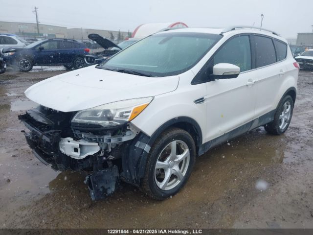 1FMCU9J90EUA00305 Ford Escape Titanium