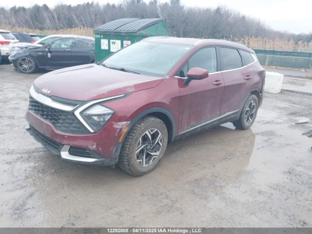 KNDPUCAF6P7042049 KIA Sportage Lx/x-line
