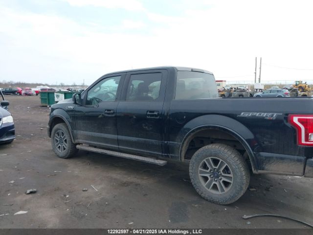 1FTEW1EF3GFD46364 Ford F150 Supercrew