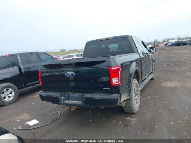 1FTEW1EF3GFD46364 Ford F150 Supercrew