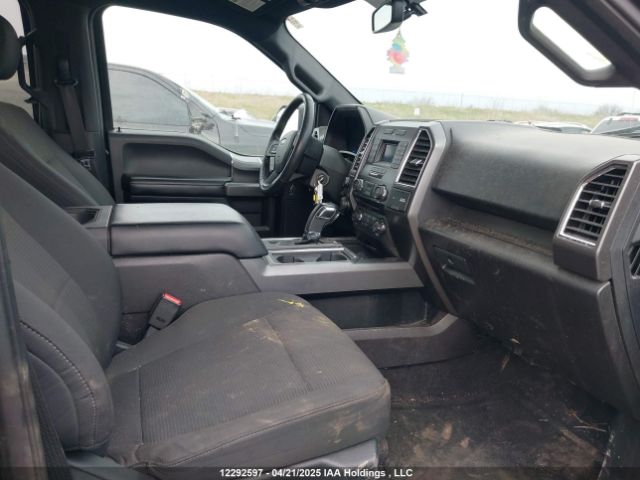 1FTEW1EF3GFD46364 Ford F150 Supercrew