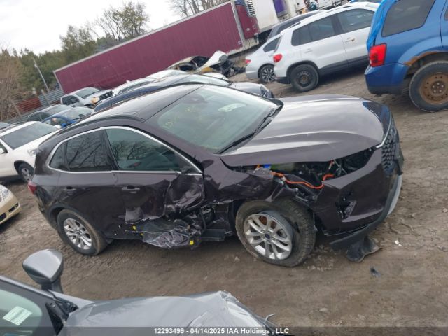 1FMCU9JZ3PUA60520 Ford Escape