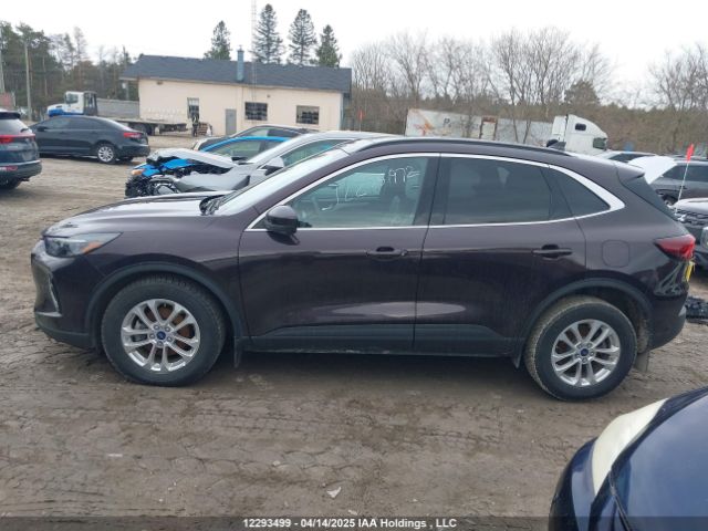 1FMCU9JZ3PUA60520 Ford Escape