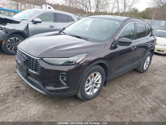 1FMCU9JZ3PUA60520 Ford Escape