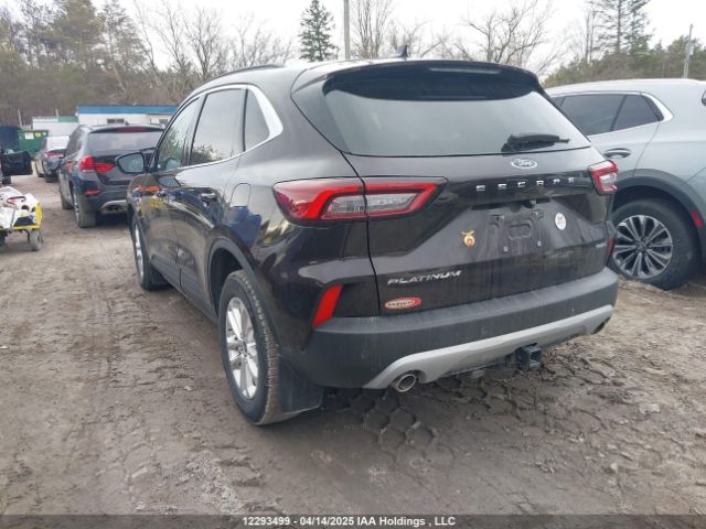 1FMCU9JZ3PUA60520 Ford Escape