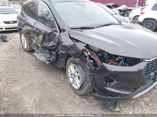 1FMCU9JZ3PUA60520 Ford Escape