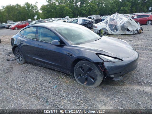12293711 :رقم المزاد ، LRW3E1EB1PC924984 vin ، 2023 Tesla Model 3 Long Range مزاد بيع