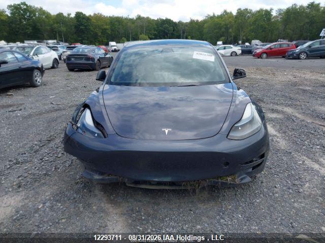 12293711 :رقم المزاد ، LRW3E1EB1PC924984 vin ، 2023 Tesla Model 3 Long Range مزاد بيع