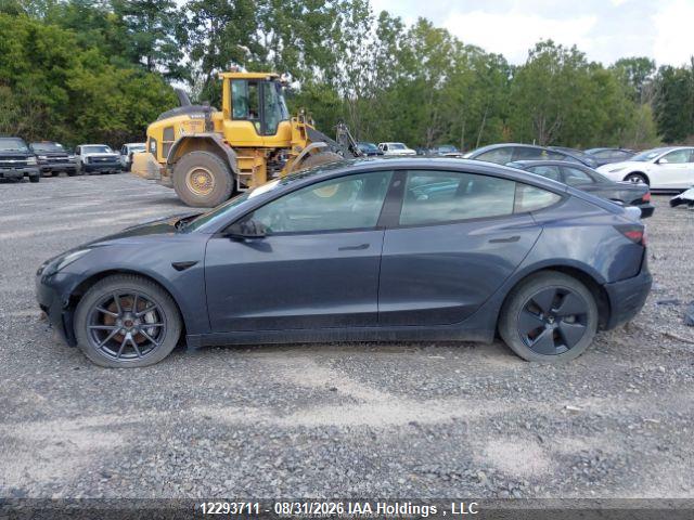 12293711 :رقم المزاد ، LRW3E1EB1PC924984 vin ، 2023 Tesla Model 3 Long Range مزاد بيع