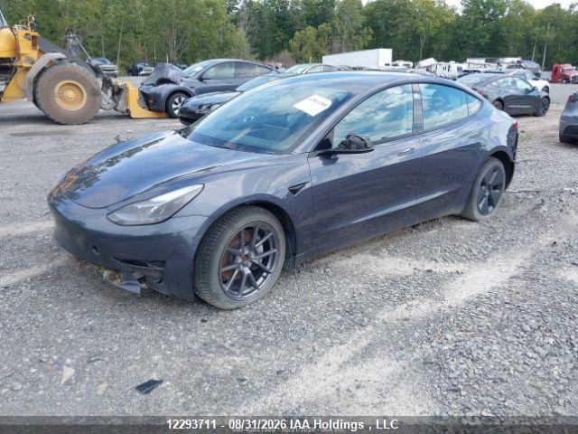 12293711 :رقم المزاد ، LRW3E1EB1PC924984 vin ، 2023 Tesla Model 3 Long Range مزاد بيع