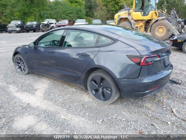 12293711 :رقم المزاد ، LRW3E1EB1PC924984 vin ، 2023 Tesla Model 3 Long Range مزاد بيع