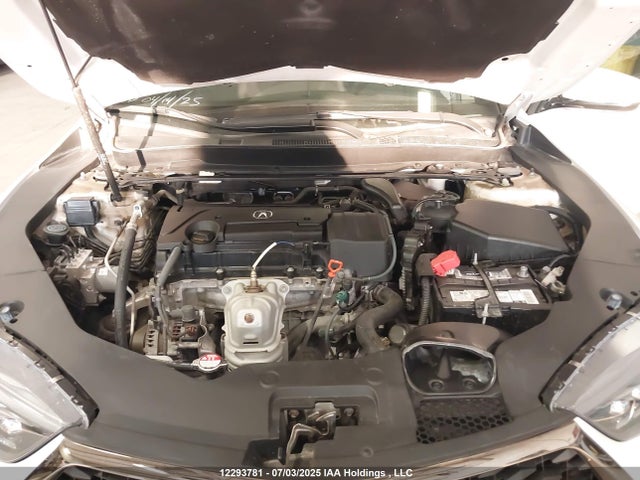 19UUB1F65KA800756 Acura k24w7