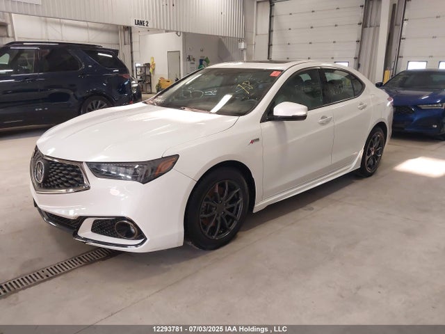 19UUB1F65KA800756 Acura k24w7
