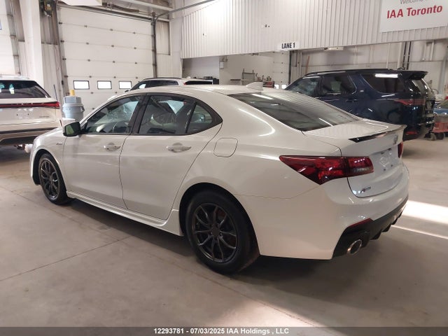19UUB1F65KA800756 Acura k24w7