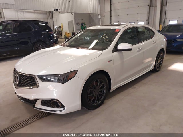 19UUB1F65KA800756 Acura k24w7