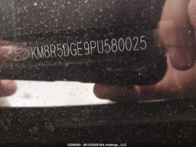 KM8R5DGE9PU580025 Hyundai gdi lambda ii