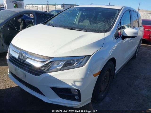5FNRL6H49KB507864 Honda ODYSSEY EX