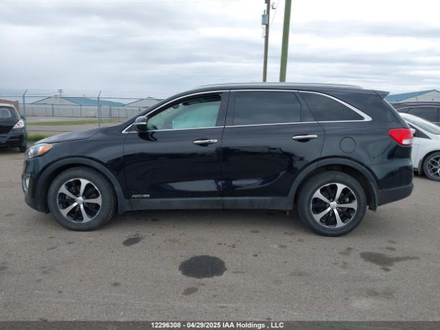 5XYPHDA50JG399254 KIA SORENTO EX