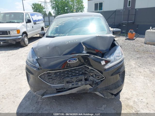1FMCU9G64MUA43993 Ford dragon di tc